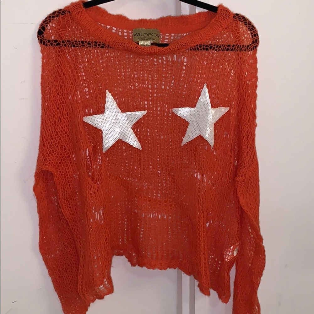 Knit Sheer Wildfox sweater